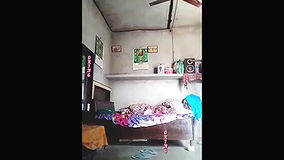 Myd pk video collection 15202533